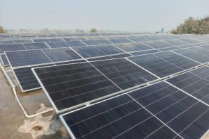 WhatsApp Image 2025-03-18 at 2.25.44 PM